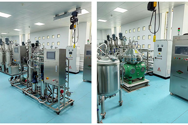 現(xiàn)場(chǎng)圖