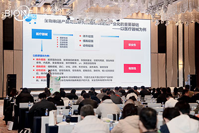 峰會會議現(xiàn)場圖2